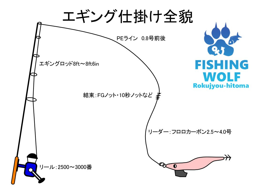 最高エギング リーダー 長さ 魚のすべて