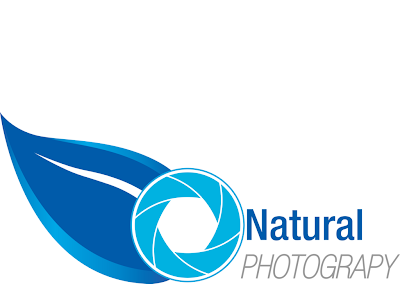 [10000印刷√] png format vector logo design png 134071