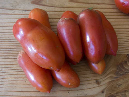 イタリア料理ほんやく三昧 トマトの話 その3 名前が地名のトマト