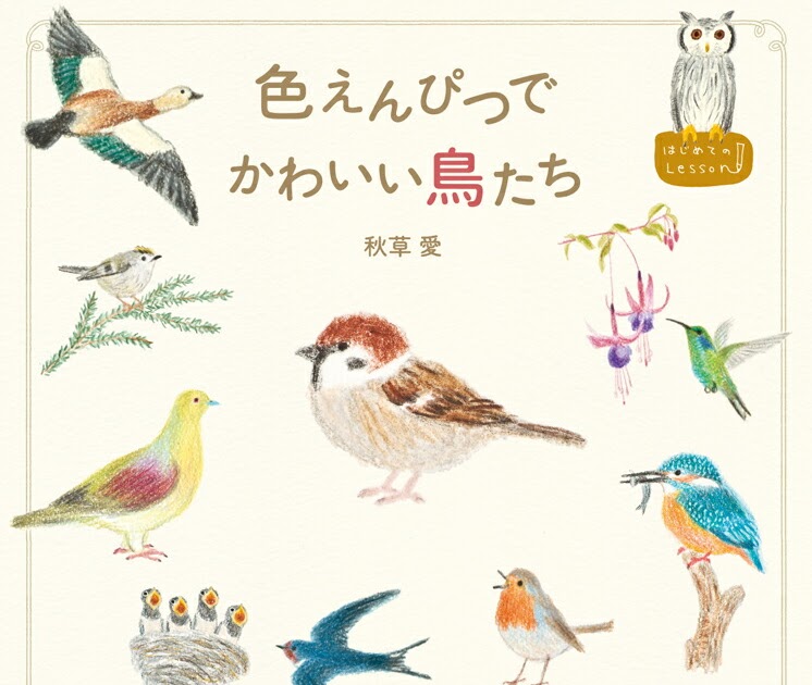 1000以上 鳥 イラスト 簡単 鳥 羽ばたく イラスト 簡単