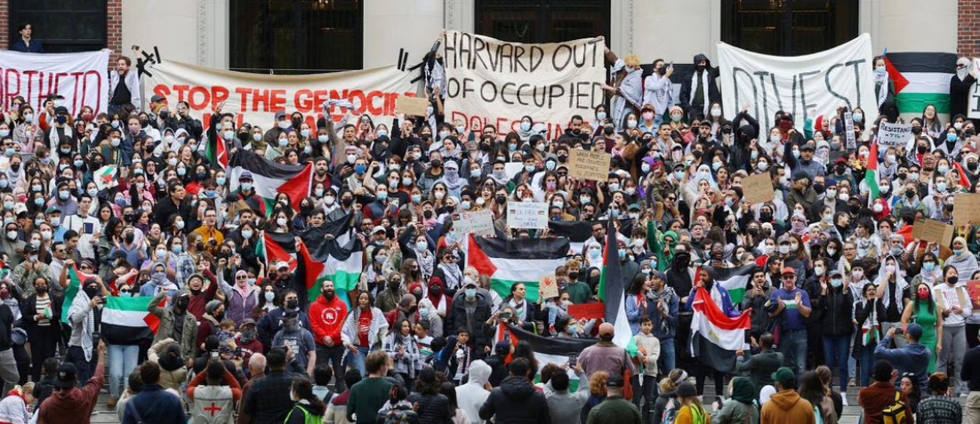 Photo of Pro Palestine protests at Harvard.