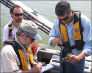 Measuring oyster