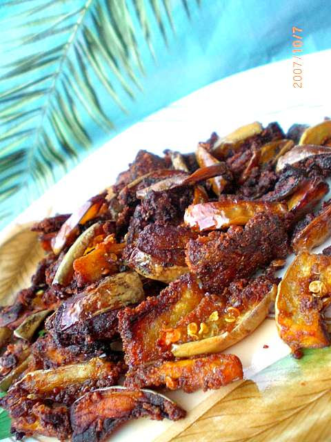 SUMBER INSPIRASIKU: TERUNG GORENG KERING MASALA