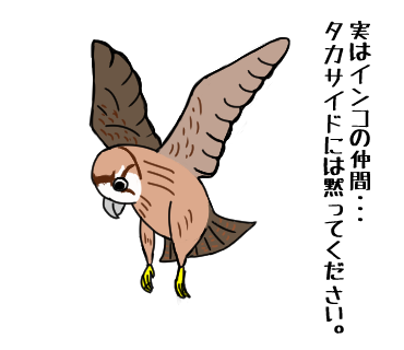 人気のコレクション はやぶさ 鳥 イラスト 興味深い画像の多様性