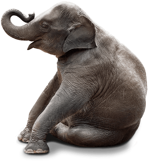 Free Free 199 Elephant Laying Down Svg SVG PNG EPS DXF File