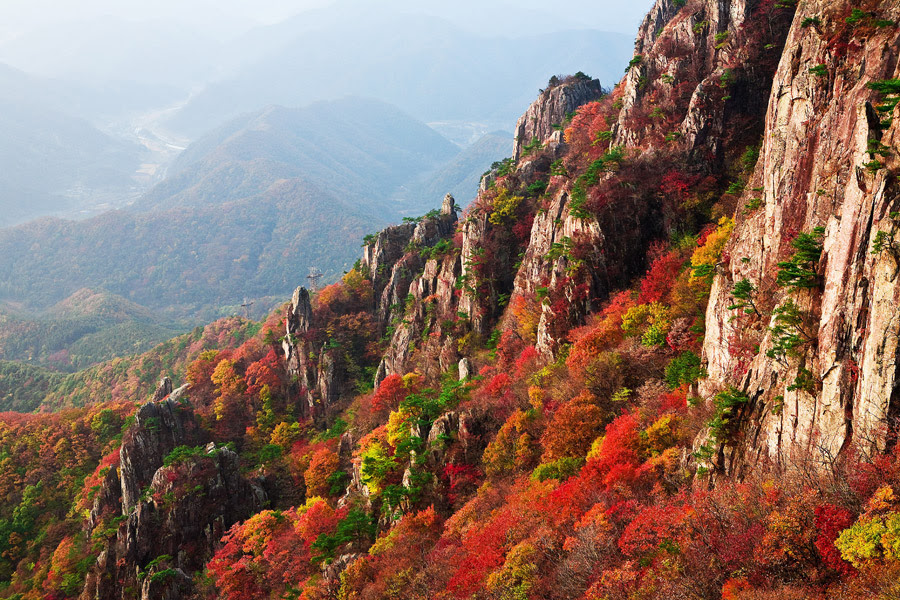 ディズニー画像のすべて 50 素晴らしい夕日 紅葉 山 イラスト