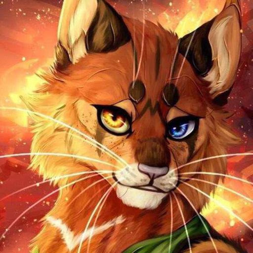 How To Roleplay Warrior Cats On Roblox Warriors Fanon Wiki Free Roblox Accounts 2019 - roblox cat life making warrior cats