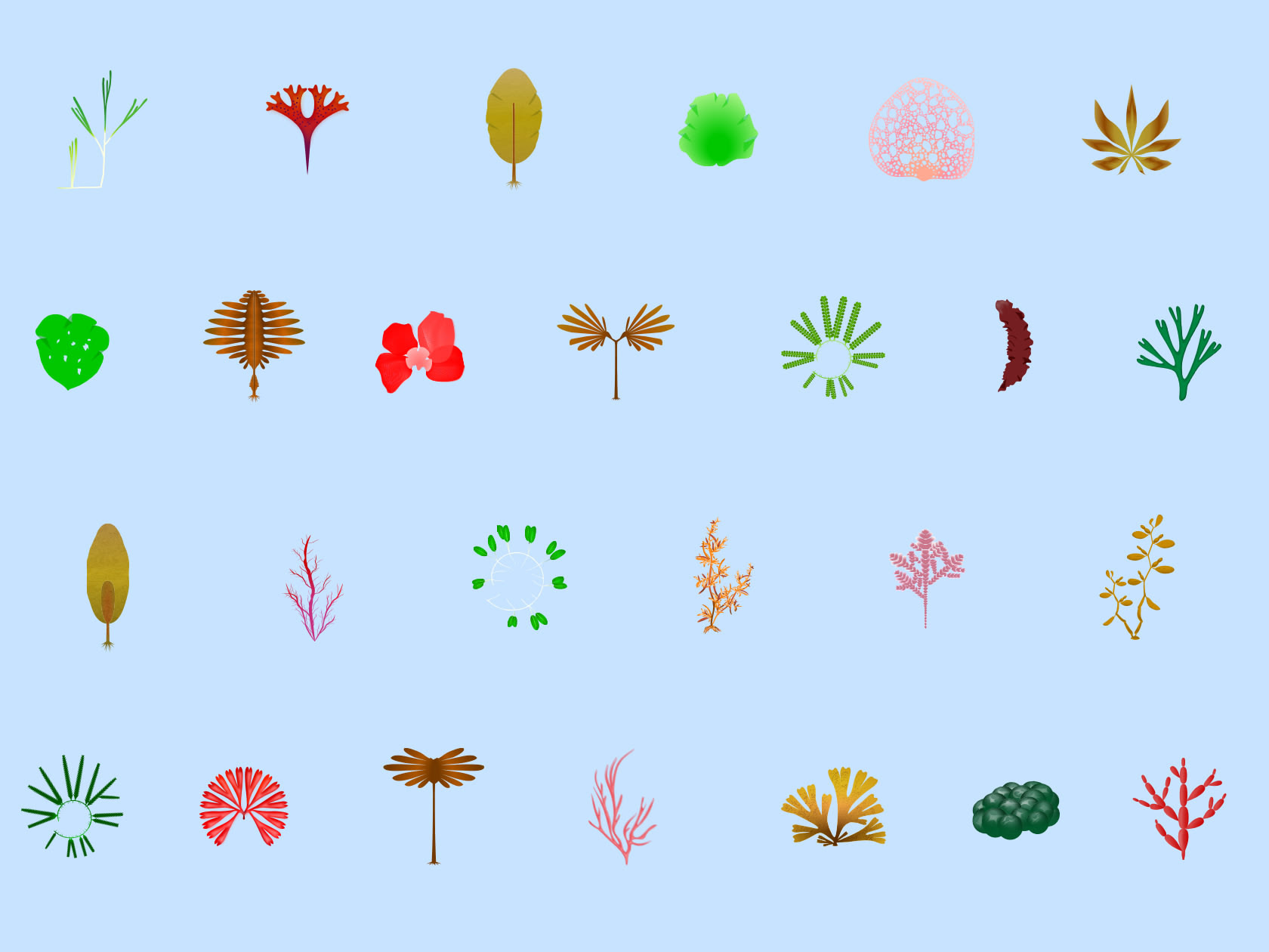すべての動物の画像 元のイラスト 海藻