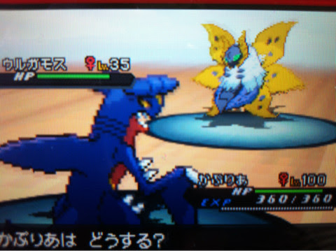 トップレート ポケモン ブラック 2 ガーディ 100 で最高の画像