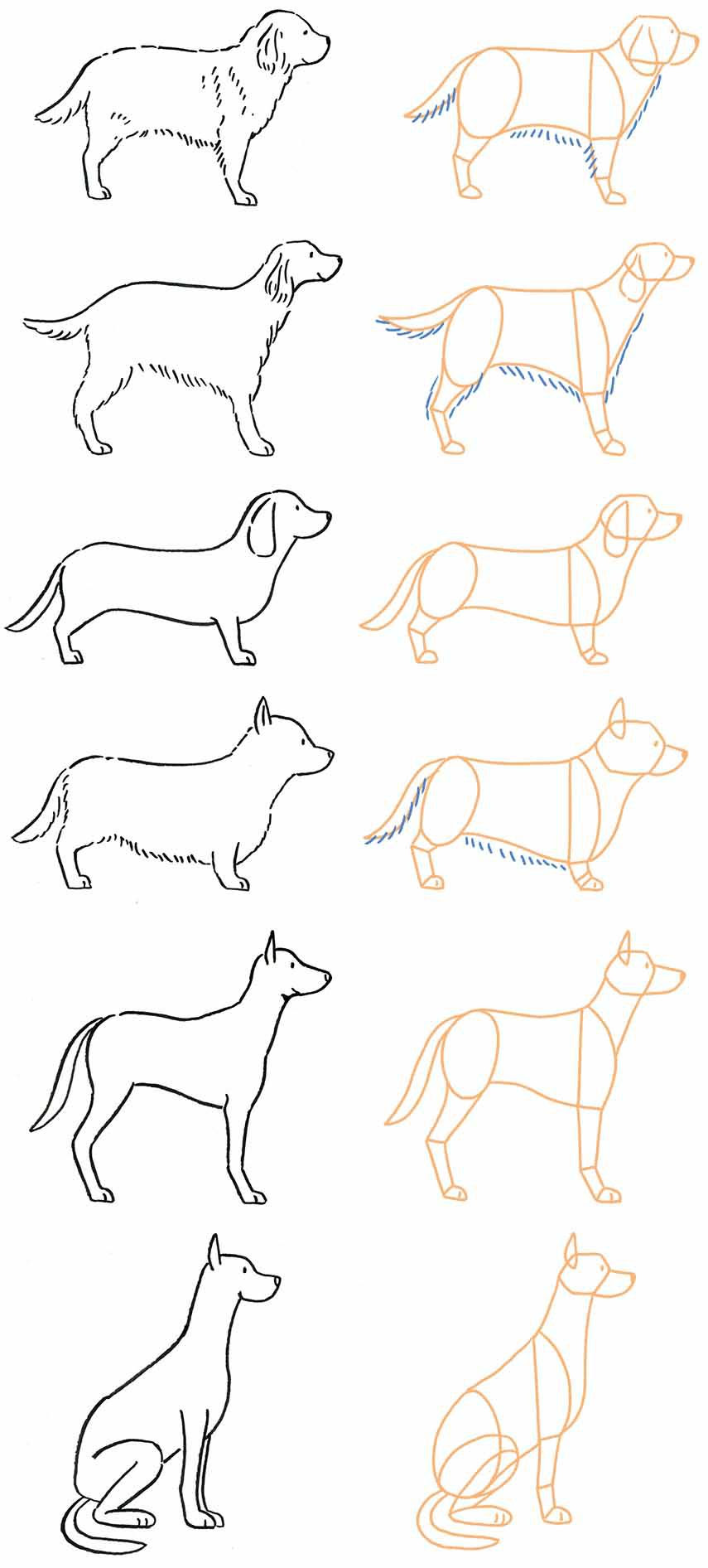 選択した画像 手書き 犬 イラスト リアル 鉛筆 Jokiotelublogimg