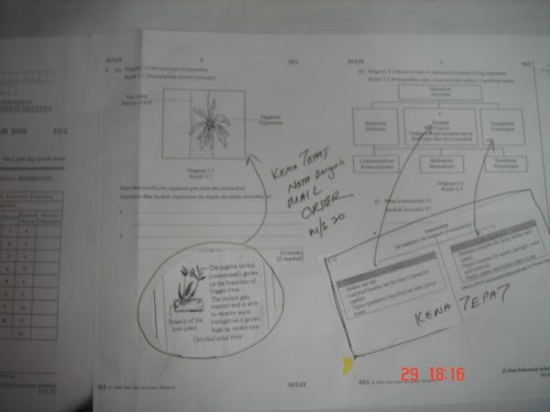 Soalan Peperiksaan Geografi Tingkatan 2 Kssm - Terengganu x