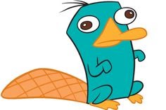 ベスト 壁紙 カモノハシ ペリー 高 画質 9699