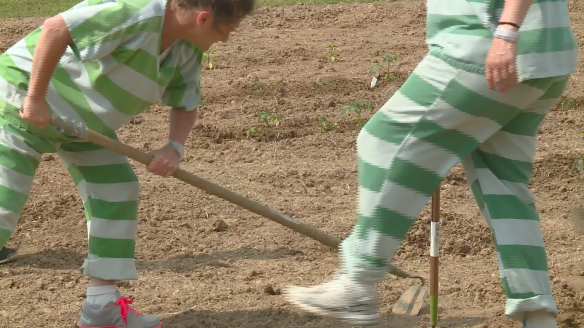 Reviews should be a few sentences in length. Benton Co Inmates Plant Garden To Help Feed Local Community Thv11 Com