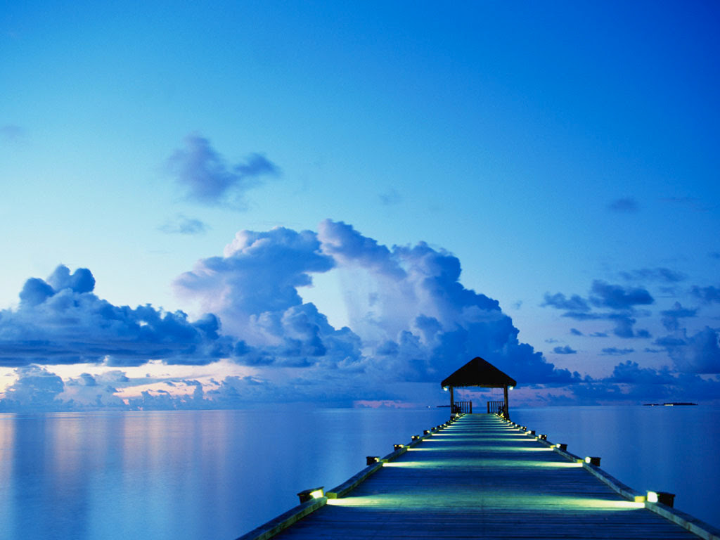 心に強く訴える世界 絶景 壁紙 すべての美しい花の画像