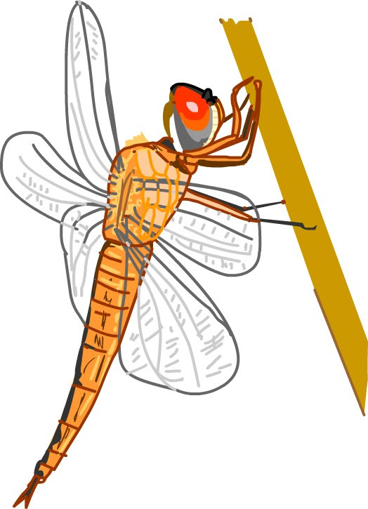 上トンボ イラスト 簡単 最高の動物画像