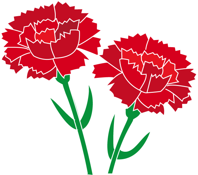 50年以上 カーネーション 花束 イラスト 興味深い画像の多様性