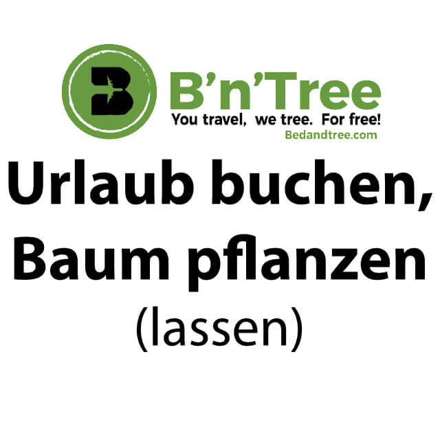 #bntree instagram videos and photos. B N Tree Ein Baum Fur Jede Buchung Eines Urlaubs Sir Apfelot