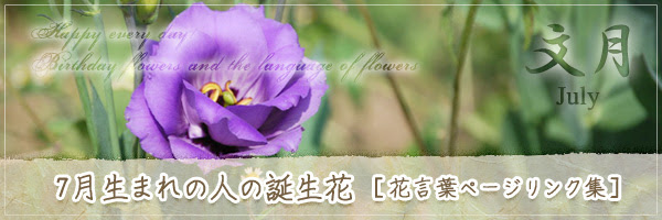 すべての花の画像 最高かつ最も包括的なアサギリソウ 花言葉