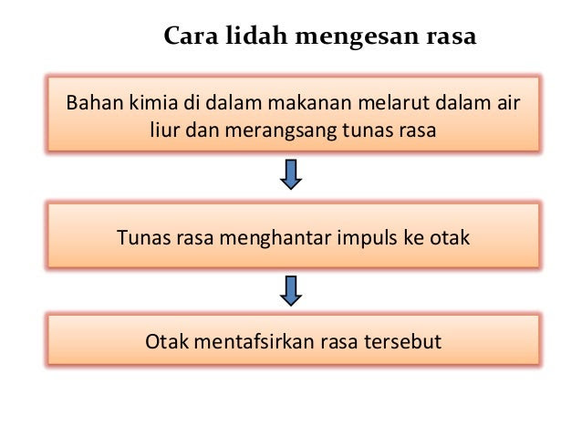 Ubat Telinga Kering - Naskah g