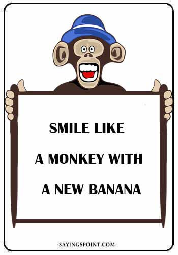 This article is a list of quotes, that characters recite from time to time, from the fifth zombies map kino der toten. 46 Monkey Quotes And Sayings Sayings Point