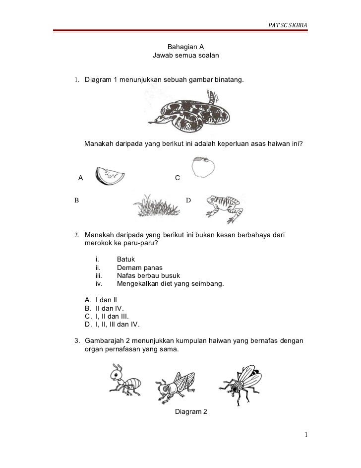 Contoh Soalan Sejarah Kertas 3 Malaysia Dan Kerjasama 