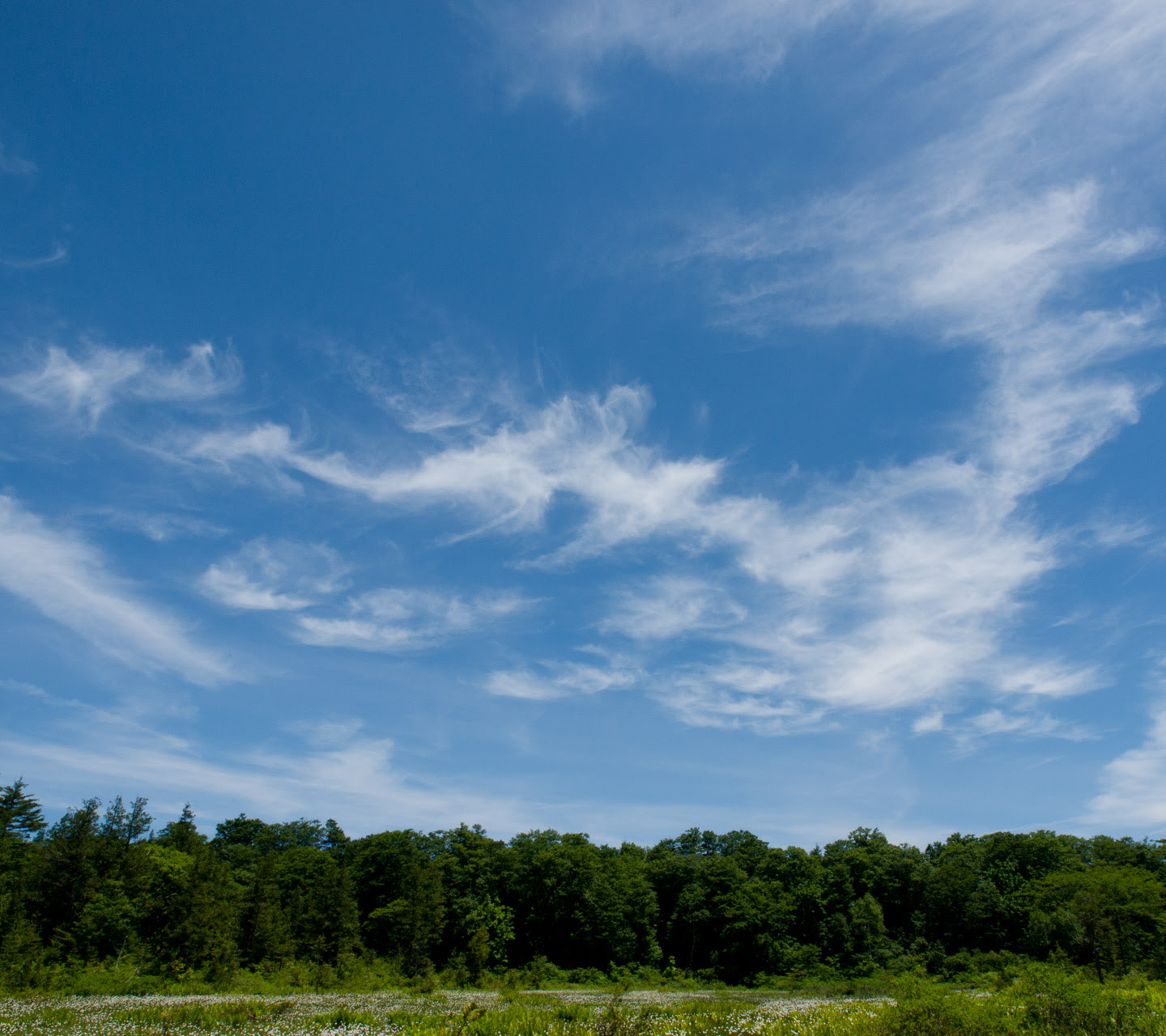 0以上 壁紙 初夏 壁紙 初夏の風景