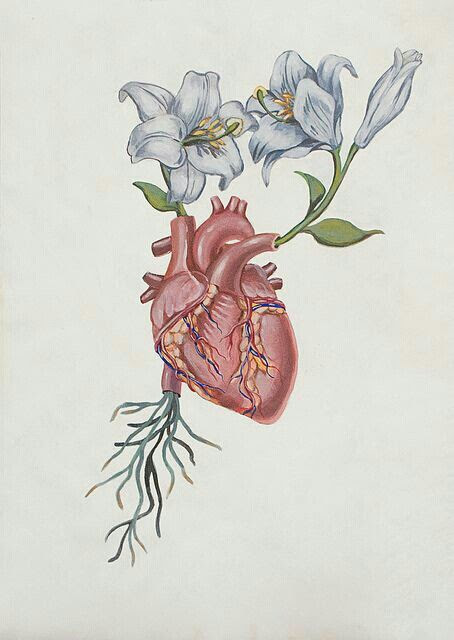 45 beautiful flower drawings and realistic color pencil drawings neel flower drawings a beautiful flower always makes us smile. Hearts And Flowers Drawing At Getdrawings Free Download