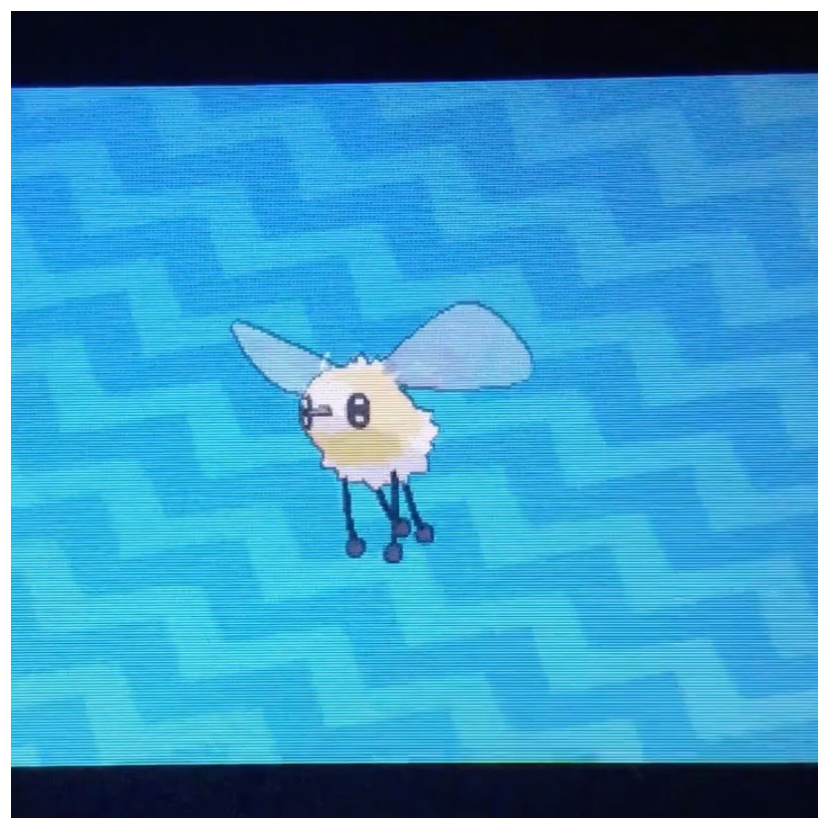 クール ポケモン サンムーン アブリー 無料ダウンロード画像