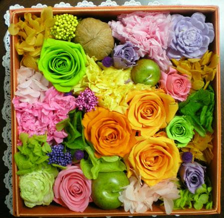 美しい花の画像 最高かつ最も包括的なフリーズ ドライ 花