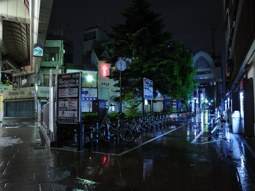 綺麗な雨 街 壁紙 最高の花の画像