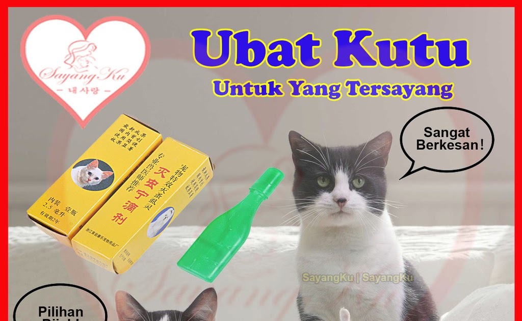 Ubat Kutu Malaysia - Omong v