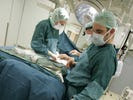 This May Be The Best Evidence Yet That Obamacare Is Working