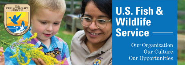 FWS employee Melissa Gonzalez shows a little boy a monarch butterfly