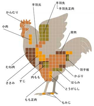 印刷可能 ささみ 部位 図 トップ新しい画像