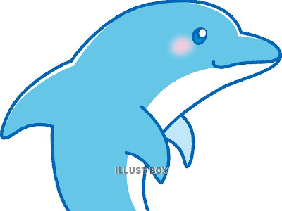 最も人気のある かっこいい おしゃれ イルカ イラスト 絵画のユニークなコレクション