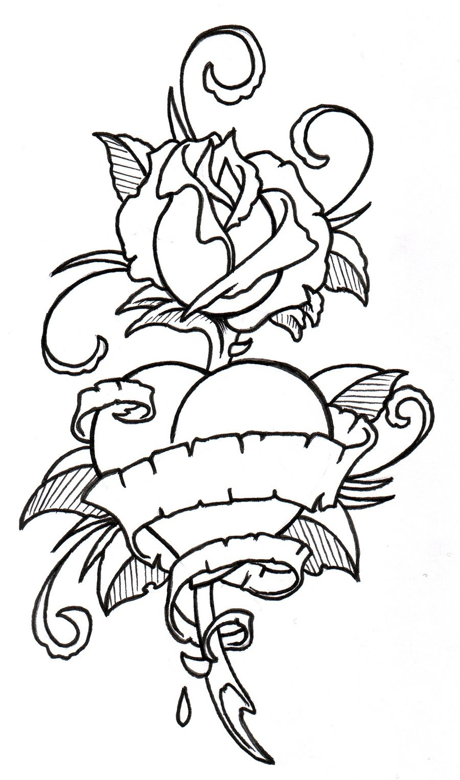 Rose With Banner Tattoos Rose Tattoo Hd