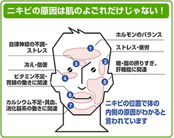 Japan Image ニキビ 場所 男性