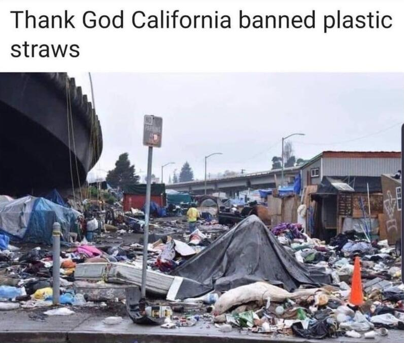 Meme: Photo of California Homeless emcqampment serious me with the comment "Good that Cal banned plastic straws."