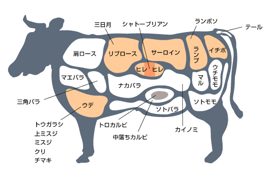 美しい花の画像 これまでで最高の牛 部位 イラスト フリー