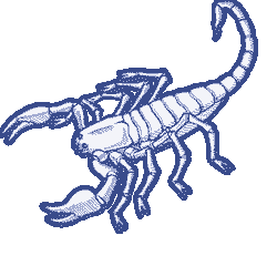 Horoscope and astrology for aquarius zodiac sign, insurance, lucky day, lucky alphabet, lucky element, lucky color, lucky number, lucky stone, best profession, best boss, best business partner, ruling planet, symbol and body parts for aquarius zodiac signs. July 2021 Scorpio Horoscope Free Monthly Horoscope For July 2021 And Scorpio Astrology Forecast For The Month Ahead