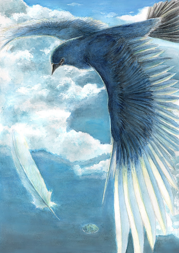 100以上 かっこいい 青い 鳥 イラスト 綺麗