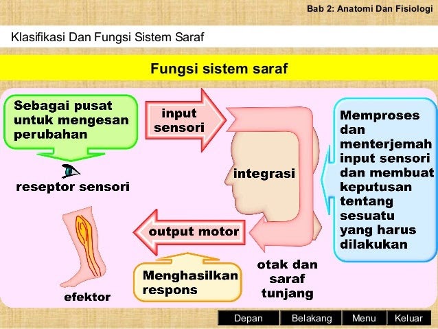 Soalan Sains Sukan Tingkatan 4 Akhir Tahun - Kecemasan 3