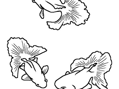 簡単 金魚 イラスト 白黒 233276