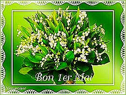 Évite de se brûler livré dans sa boîte cadeau carton coloré.all images without labels, you can make memes of them! Pps Et Diaporamas De La Categorie 1er Mai