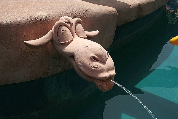 The spitting camel in adventureland, magic kingdom park, walt disney world resort 2019 подробнее. Park Perfect Perfect Spitting Camel Disney Dispatch