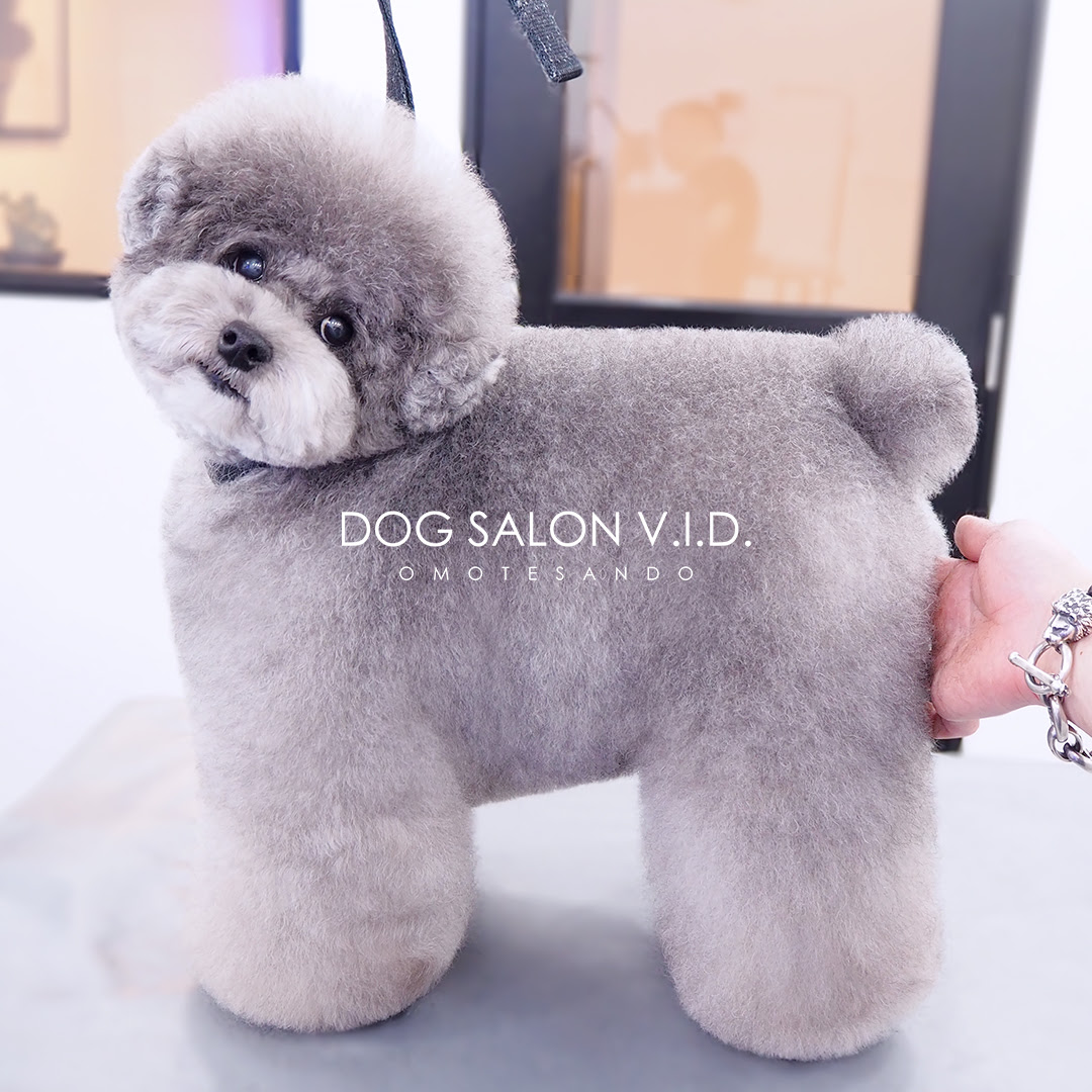 犬 カット デザイン 6517 犬 カット デザイン Blogakuwolujp