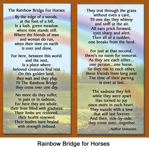 A wound that is exposed by this tender and simple poem. Horse Lover S Rembembrance Verse The Rainbow Bridge For Horses Healing The Heart