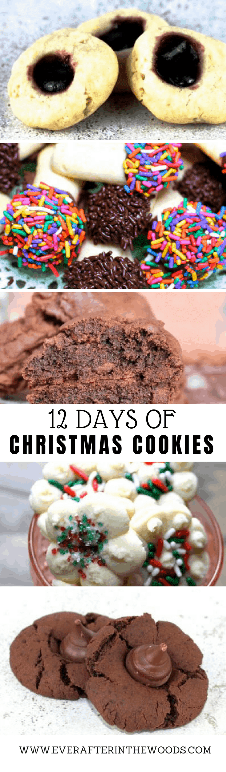 Last updated jul 12, 2021. Christmas Cookie Recipes 12 Days Of Baking Ever After In The Woods