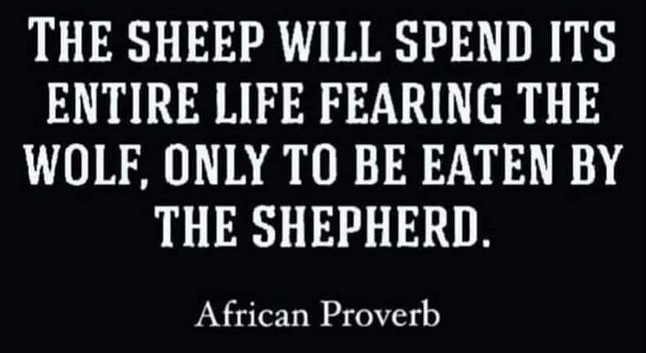 African Proverb: The sheep will spend its entire life fearing the wolf, only to be eaten by the shepherd