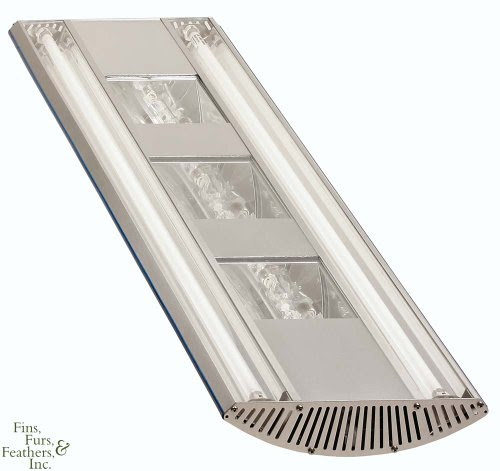 !! Buy ! 72 Inch 3x250W Metal Halide + 2x80W T5 Aqua Medic ...
